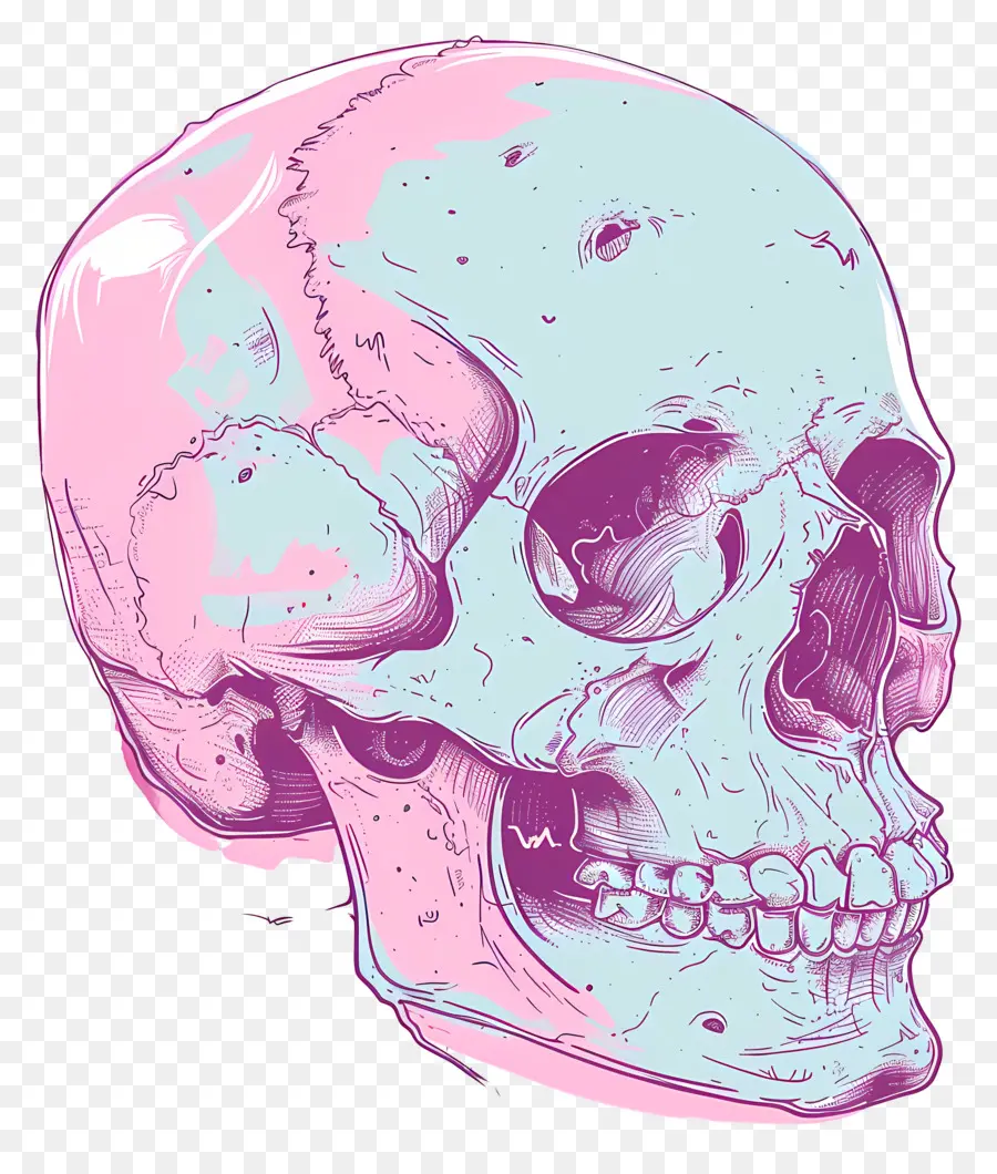 Doodle Skull，Crânio Humano PNG