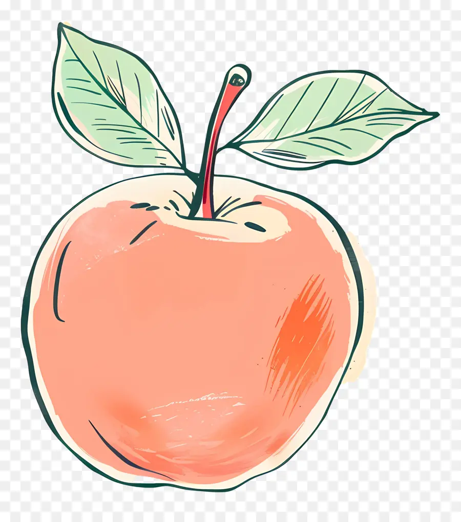 Doodle Apple，Handdrawn PNG