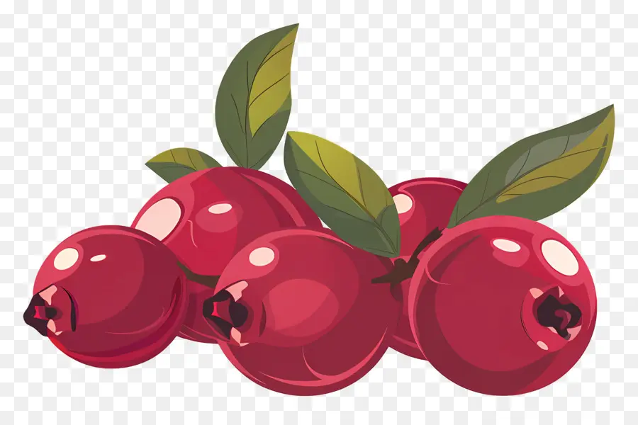 Cranberry，As Uvas Vermelhas PNG