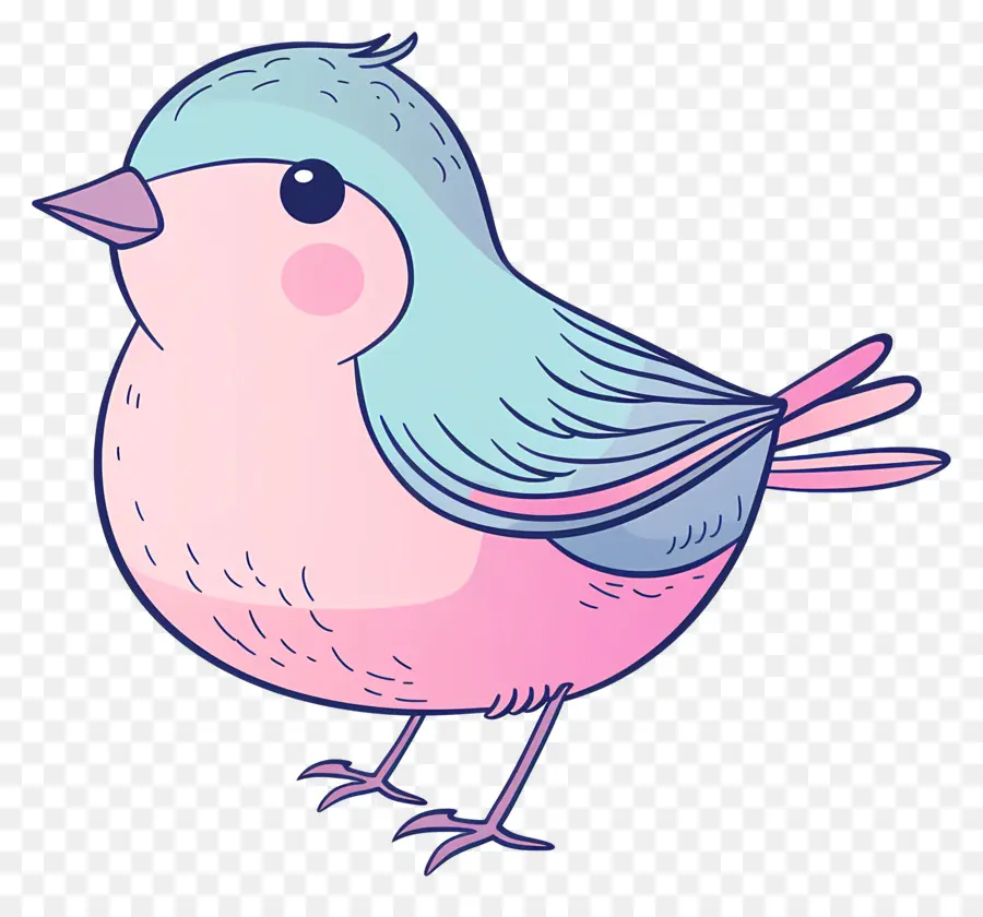 Pássaro Doodle，Aves PNG