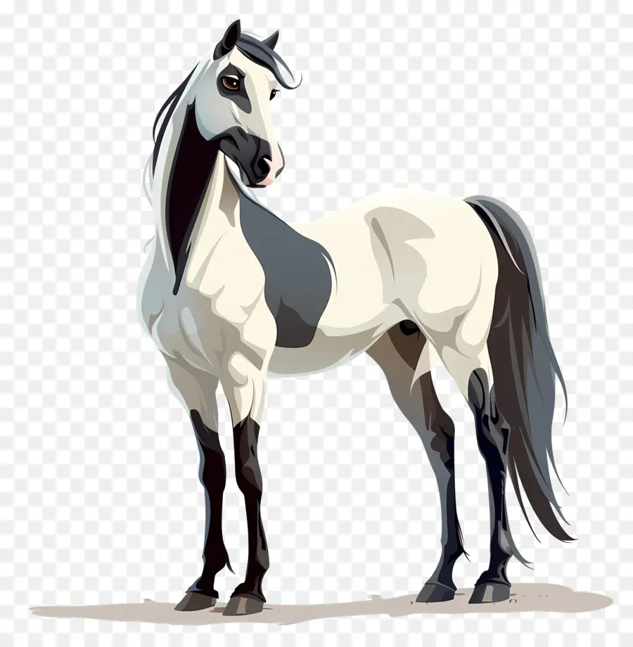 Desenho Animado Cavalo，Cavalo PNG