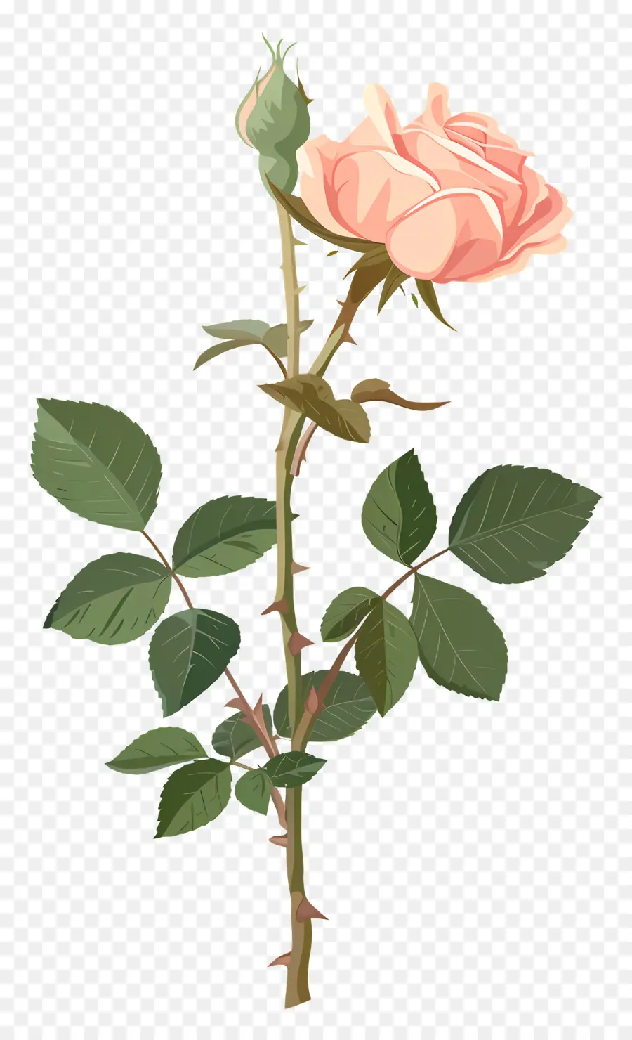 Haste Rosa，Rosa Cor De Rosa PNG