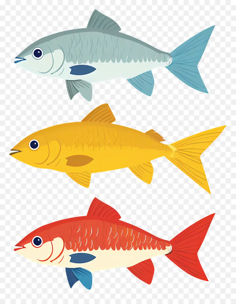 Peixes Clipart，Peixe PNG