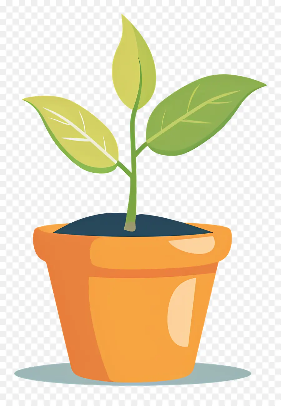 Mudas，Planta PNG