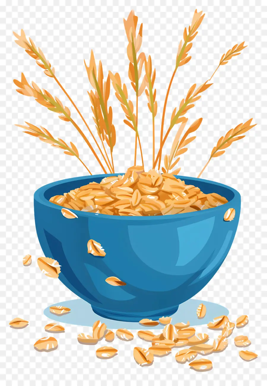 Oats，Tigela De Aveia PNG