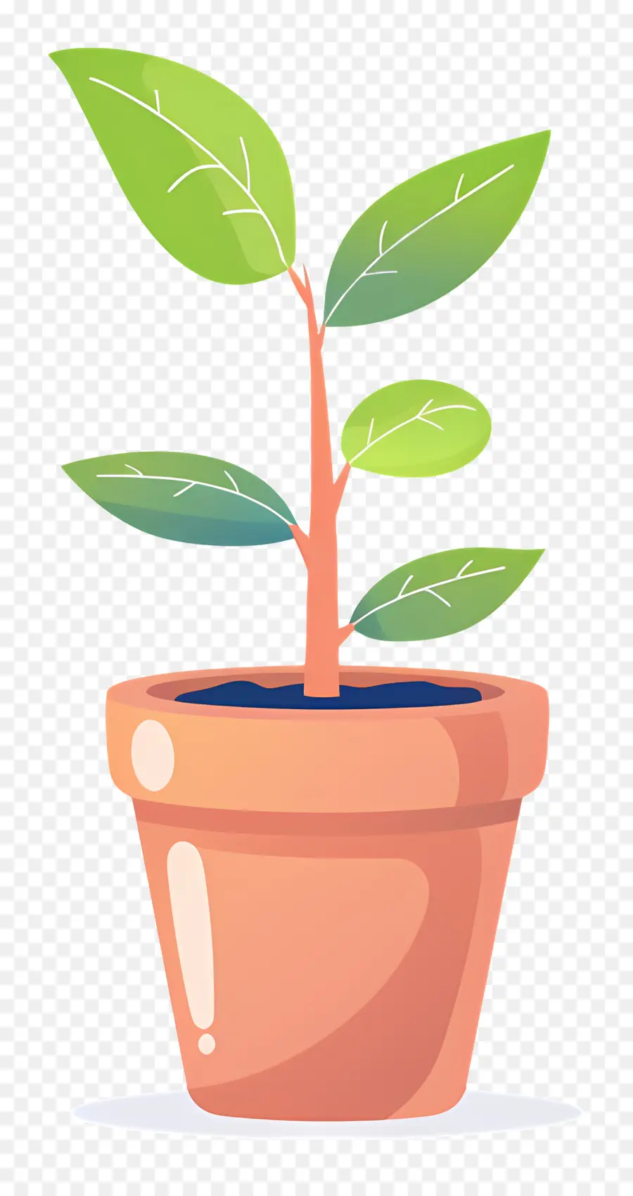 Mudas，Planta Interna PNG