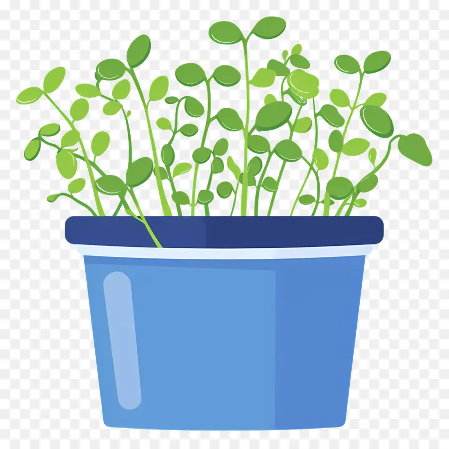 Pote De Microgreens，Azul Pote PNG