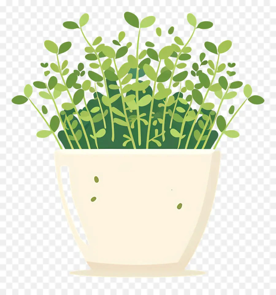 Pote De Microgreens，Plantas De Interior PNG