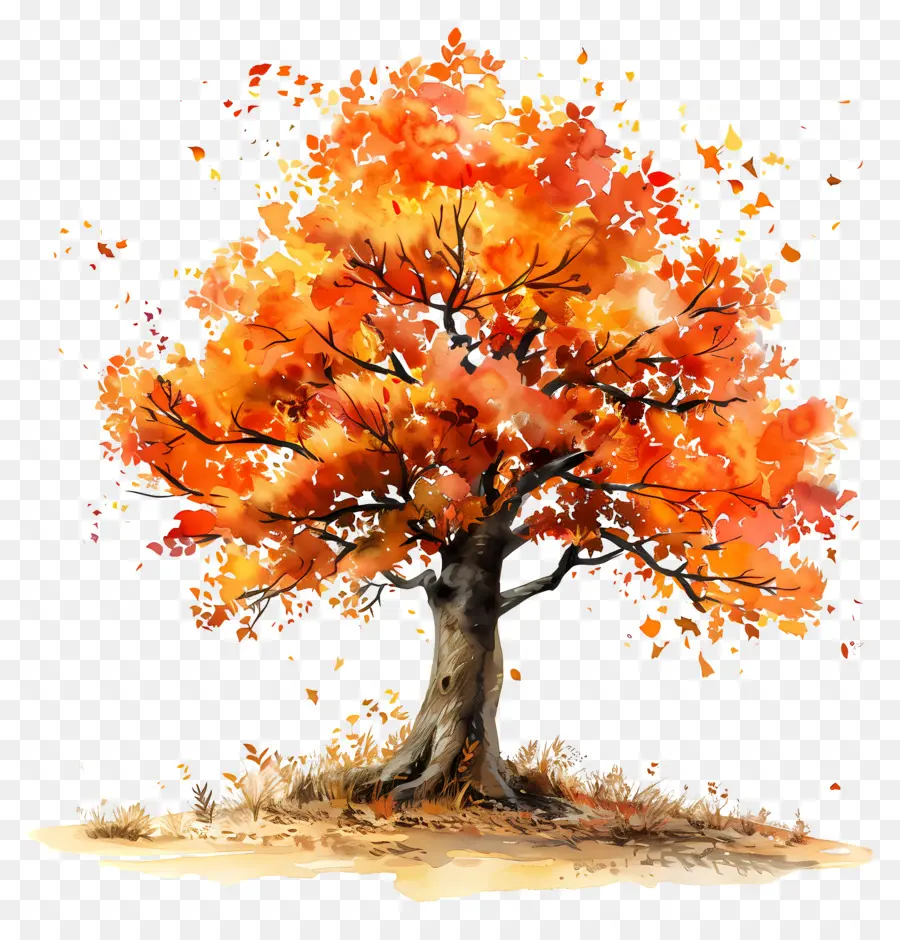 Autumn Tree，Folhagem De Outono PNG