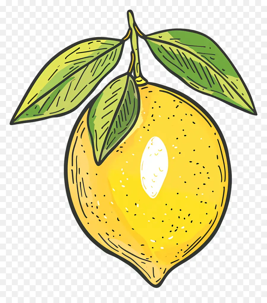 Doodle Lemon，Limão PNG