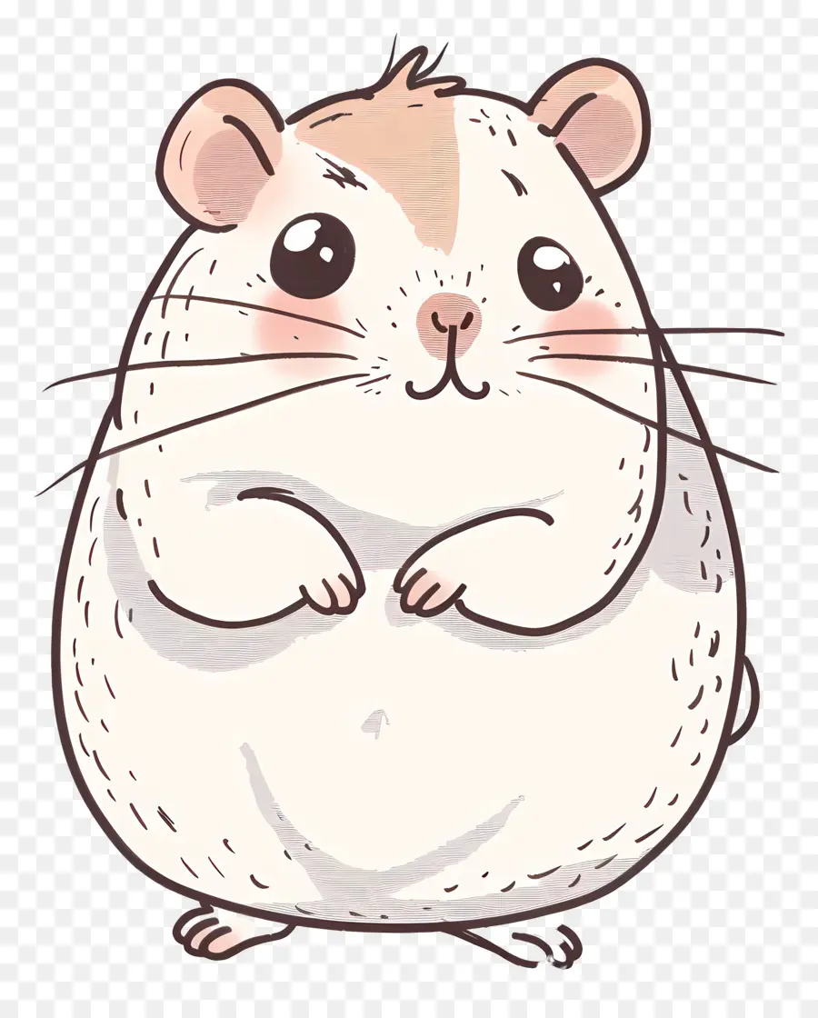 Hamster，Bonito PNG