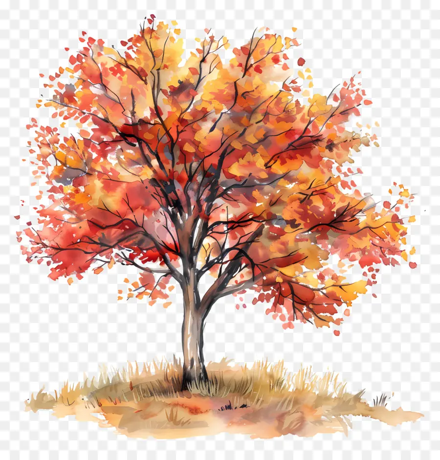 Autumn Tree，Pintura Em Aquarela PNG