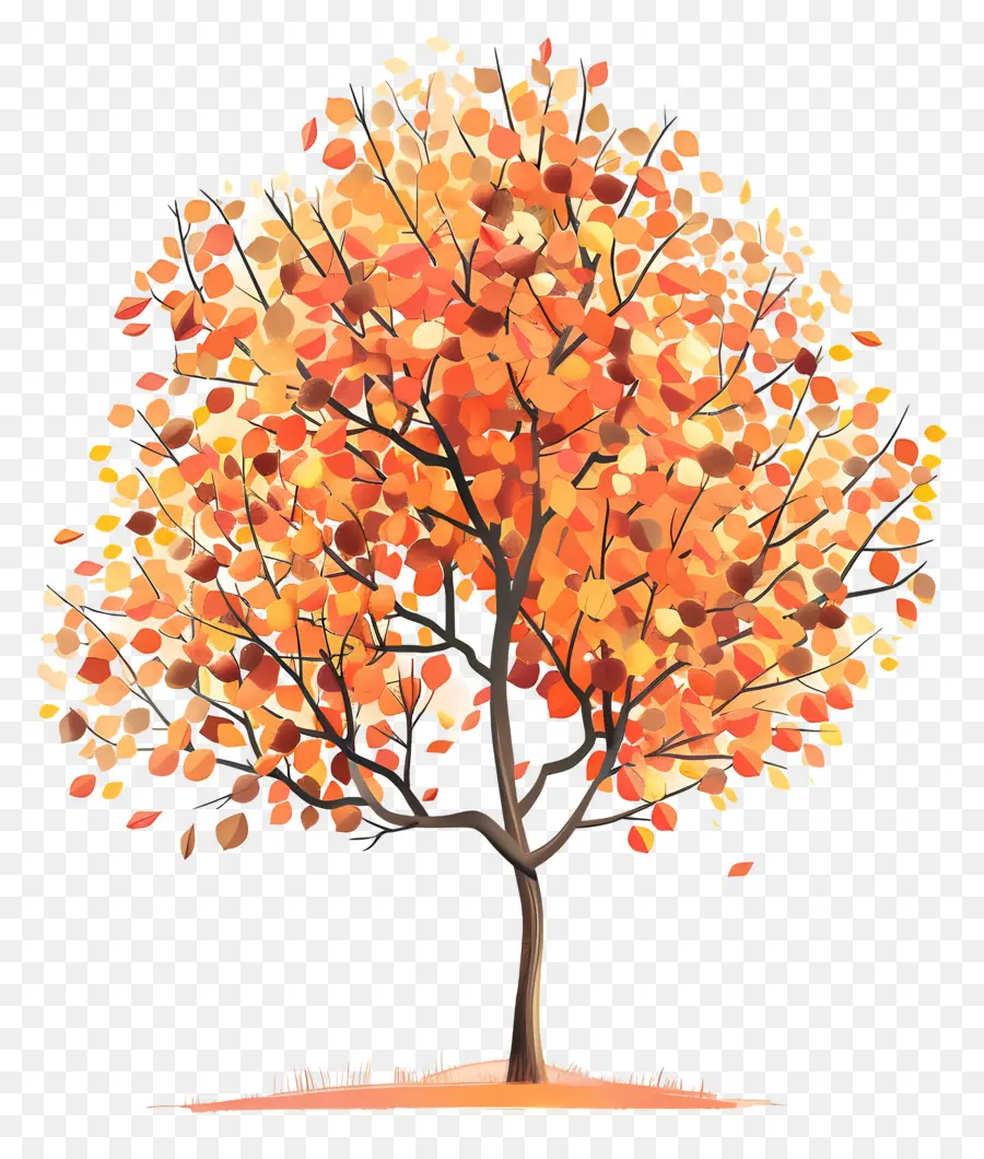 Autumn Tree，Laranjeira PNG