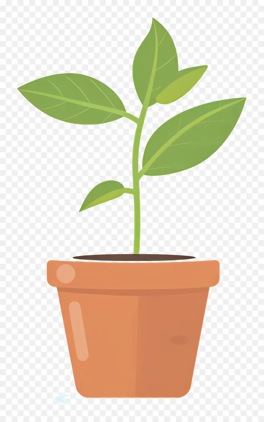 Mudas，Planta PNG