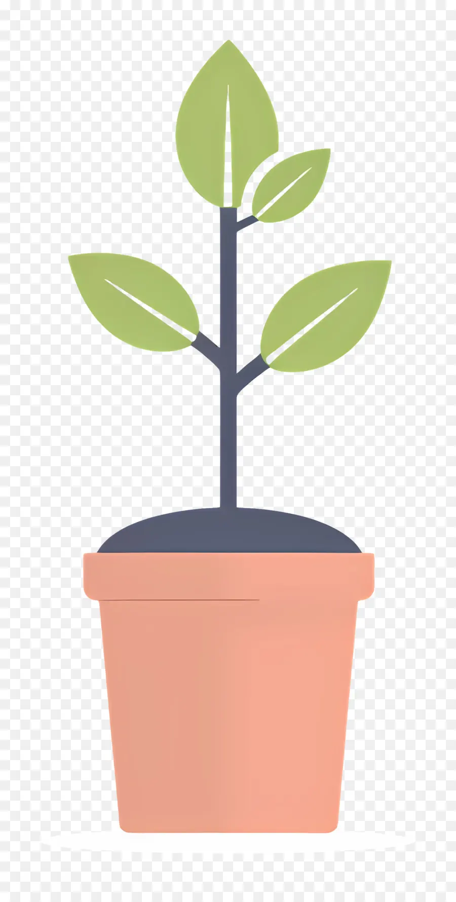 Mudas，Planta De Vaso PNG