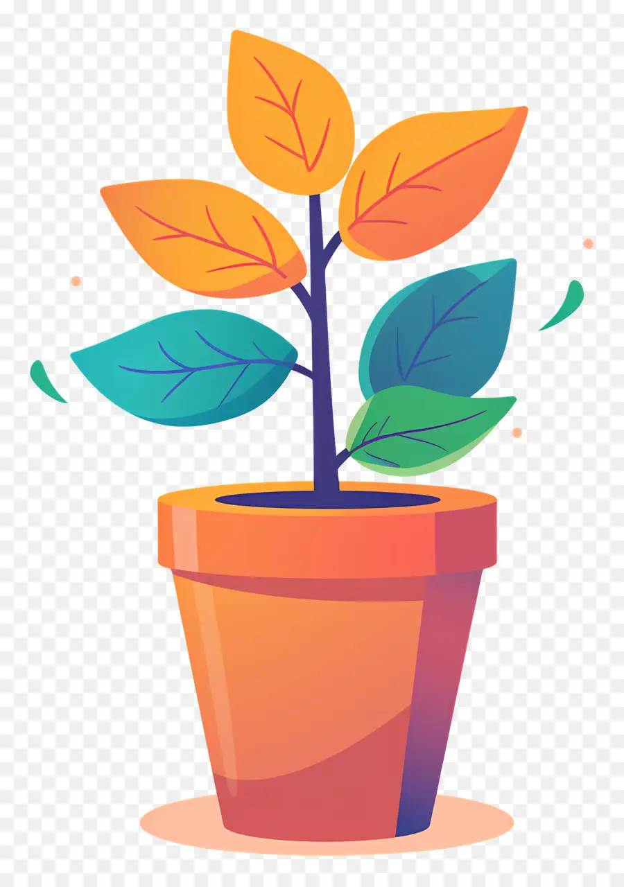 Mudas，Planta De Vaso PNG