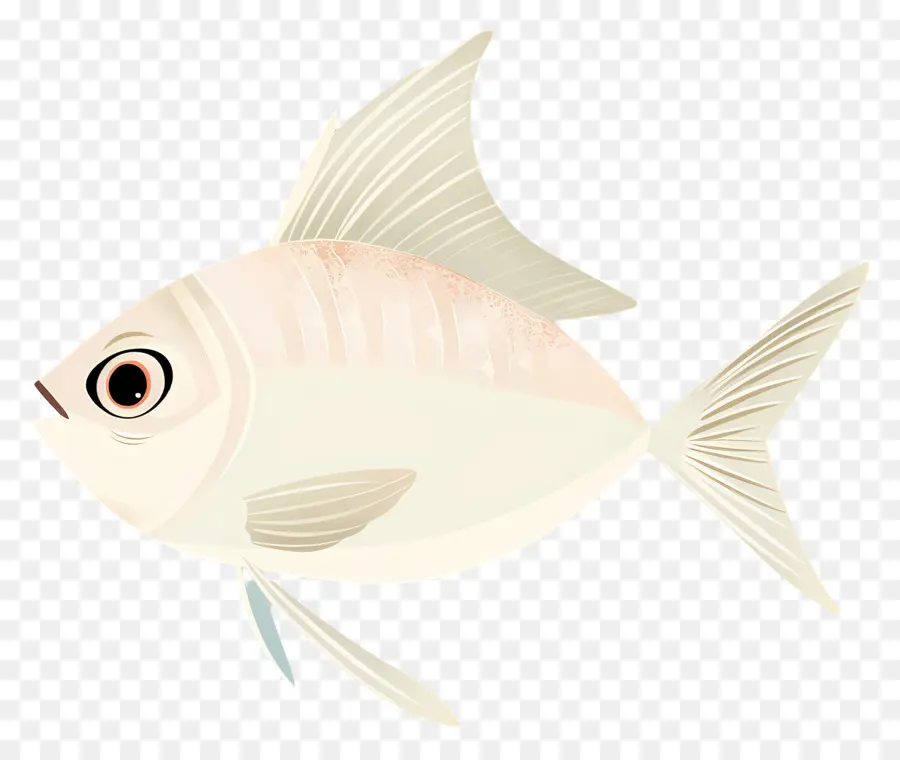 Peixes Clipart，Peixes Tropicais PNG