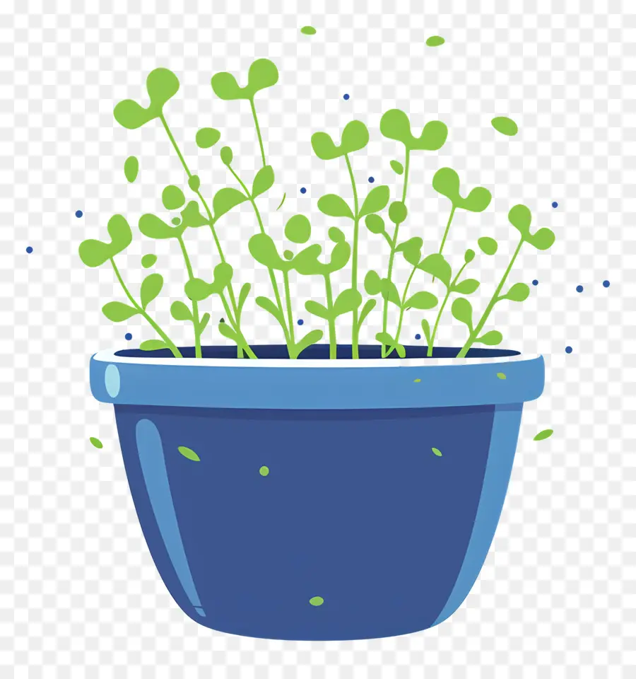 Pote De Microgreens，Blue Plant Pot PNG