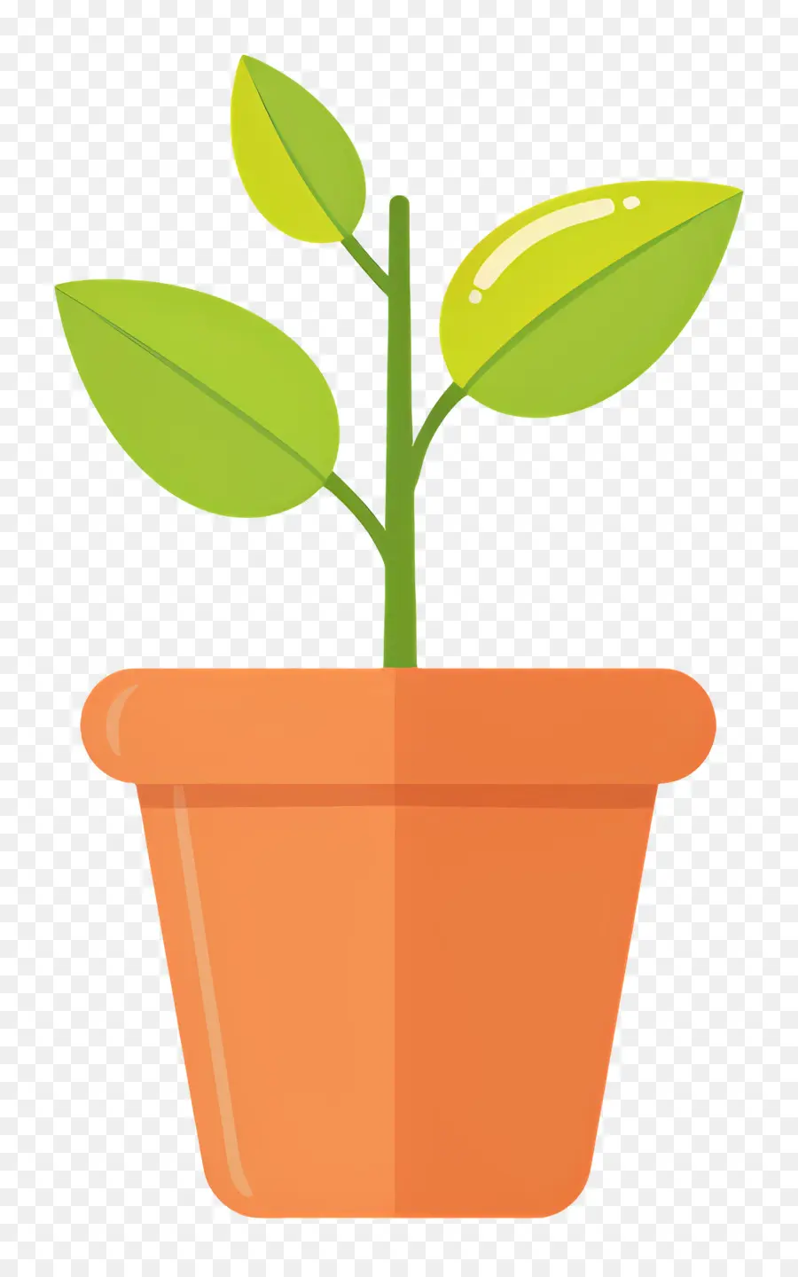 Mudas，Um Vaso De Planta PNG