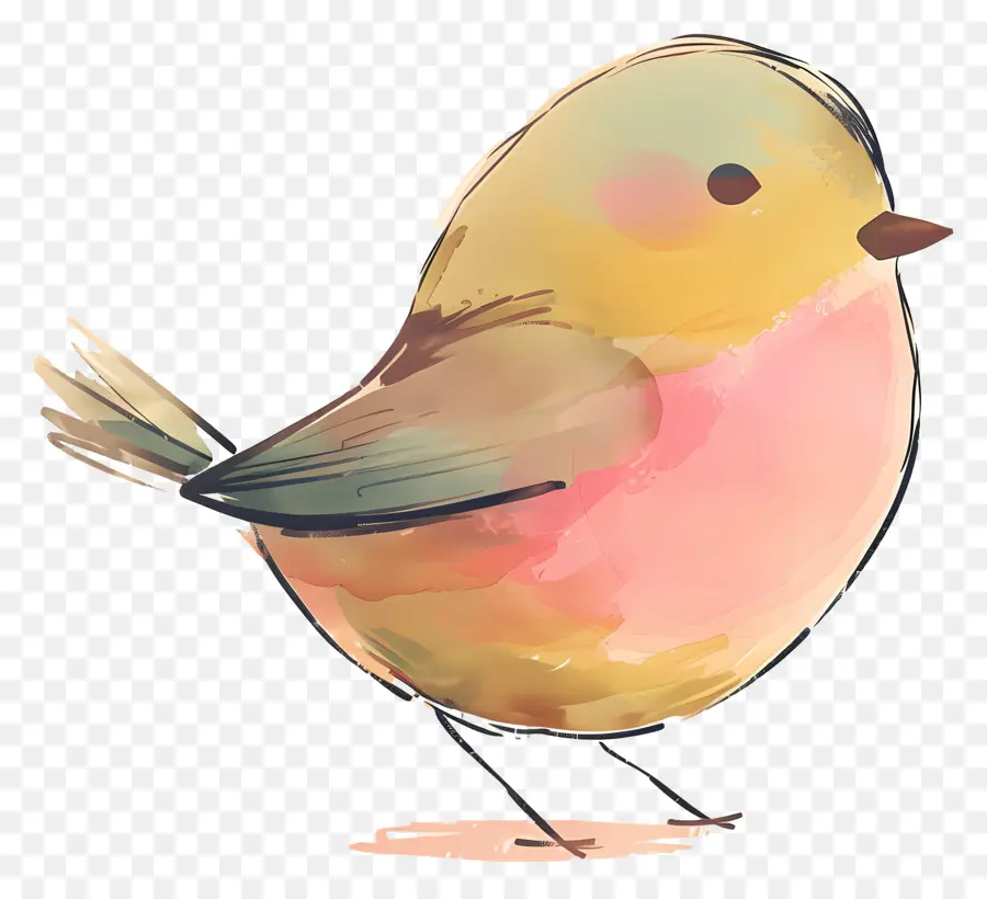 Pássaro Doodle，Pintura Em Aquarela PNG