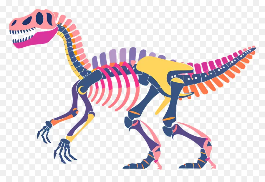 Esqueleto De Dinossauro，Colorido PNG