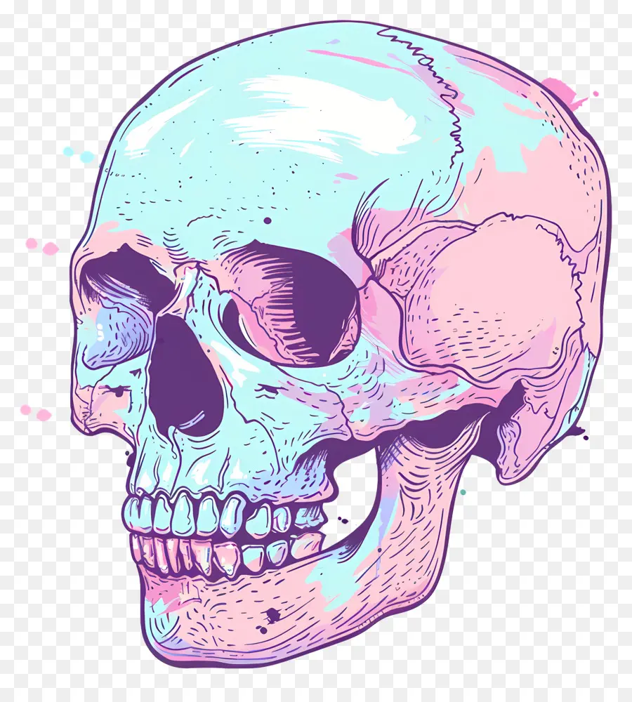 Doodle Skull，Crânio PNG