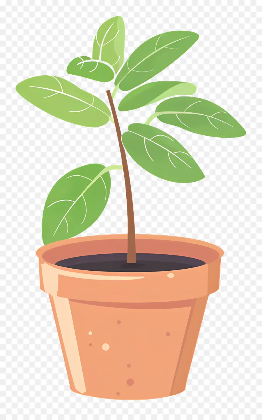 Muda，Planta Em Vaso PNG