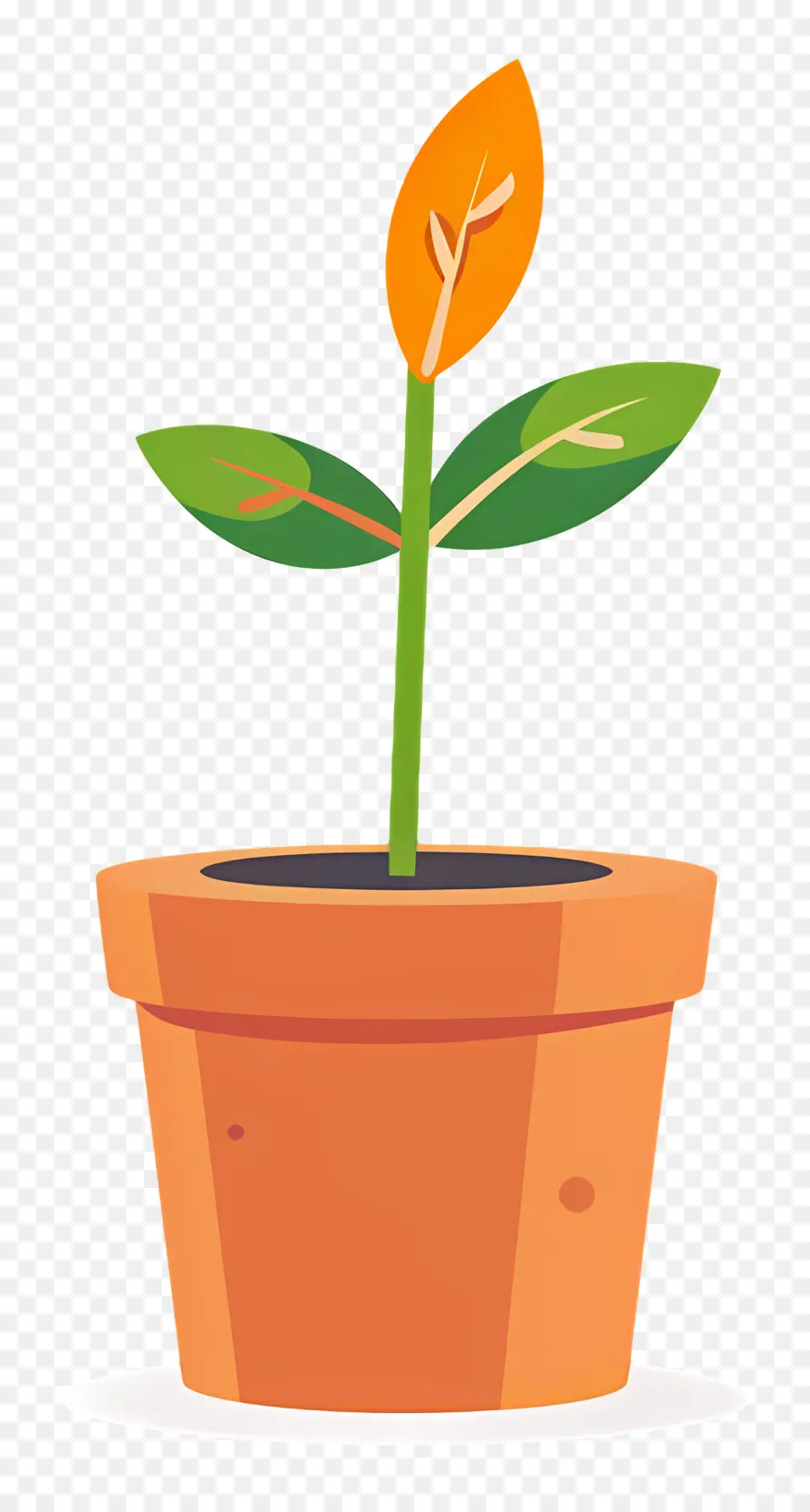 Mudas，Pequena Planta PNG