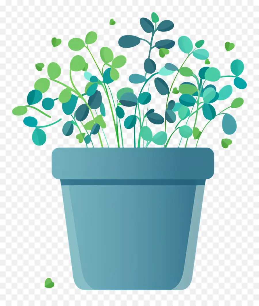 Pote De Microgreens，Suculenta PNG