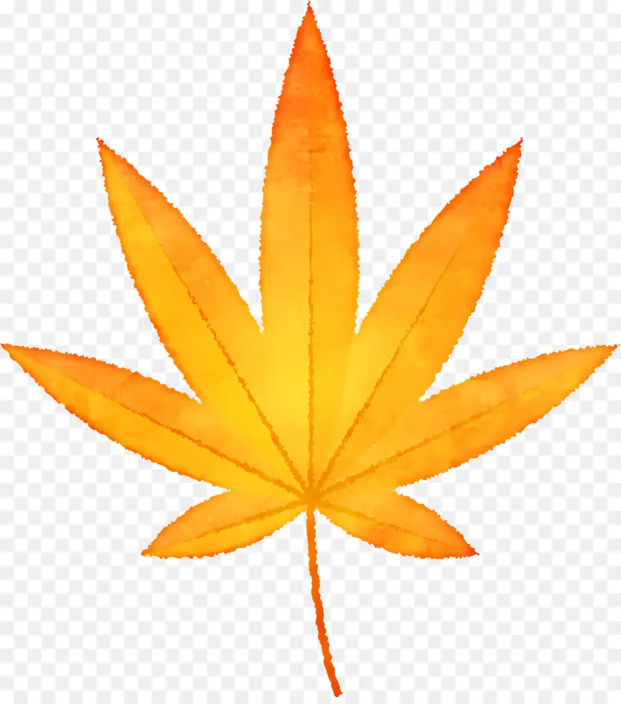 Autumn Leaf，Maconha PNG