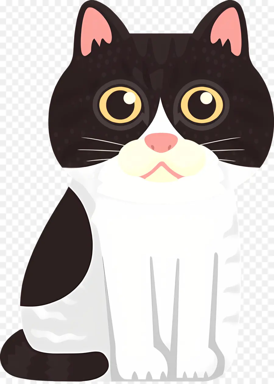 Gato Dos Desenhos Animados，Gato PNG