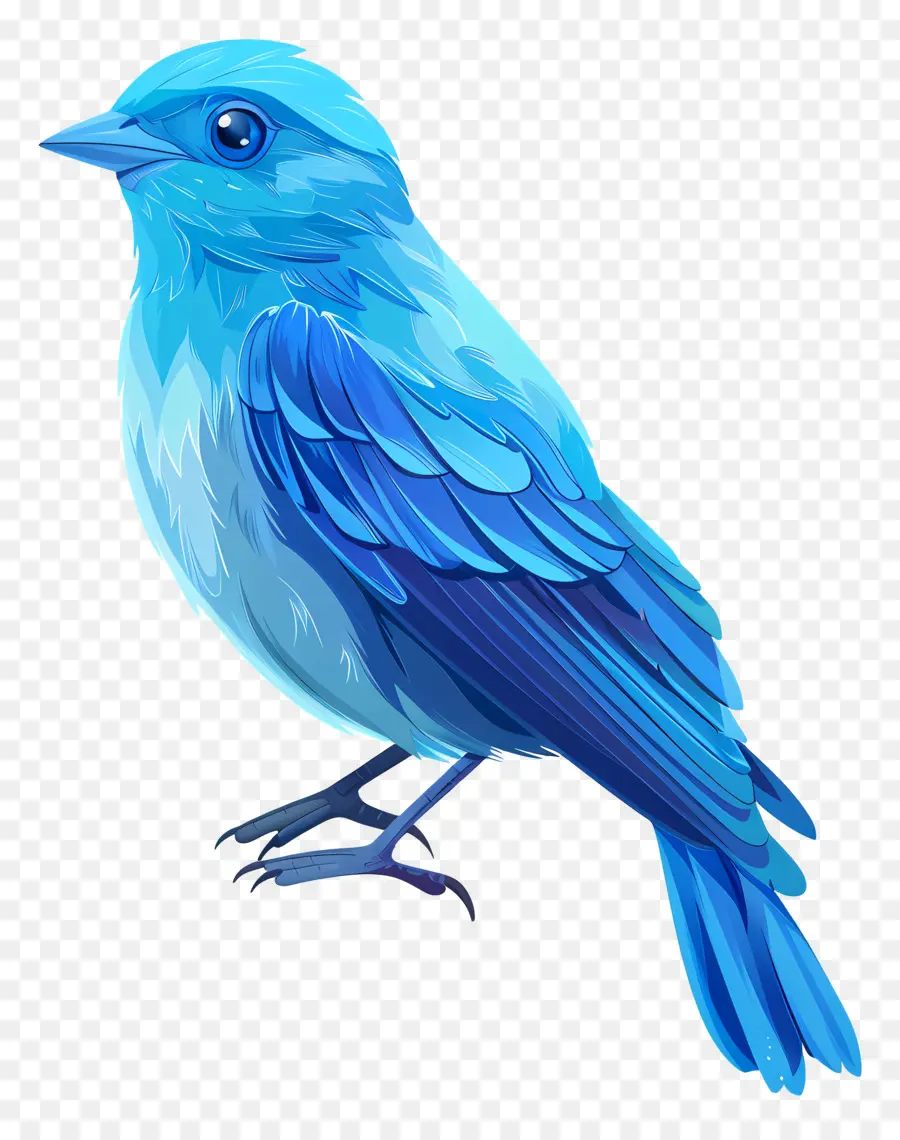 Aves，Pássaro Azul PNG