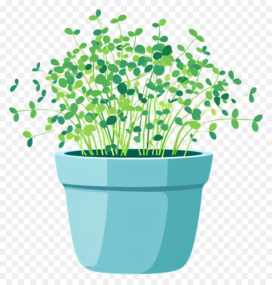 Pote De Microverdes，Planta Em Vaso PNG