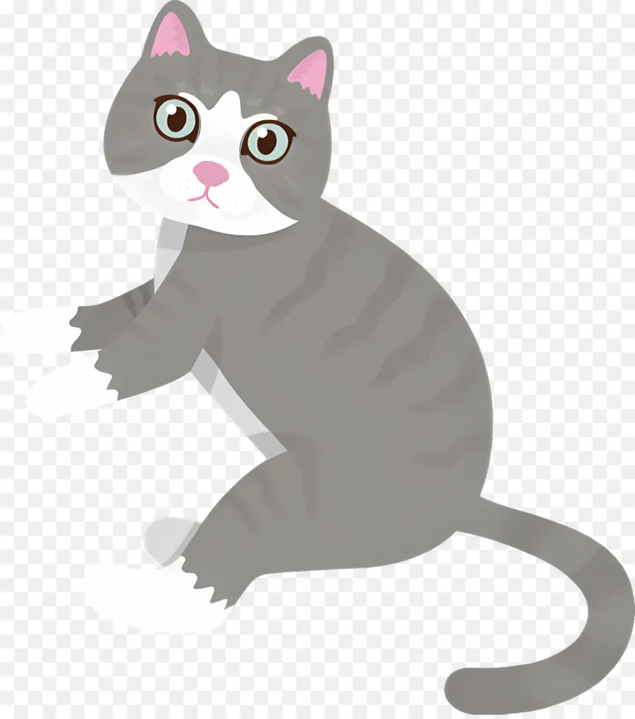 Gato Dos Desenhos Animados，Gato PNG