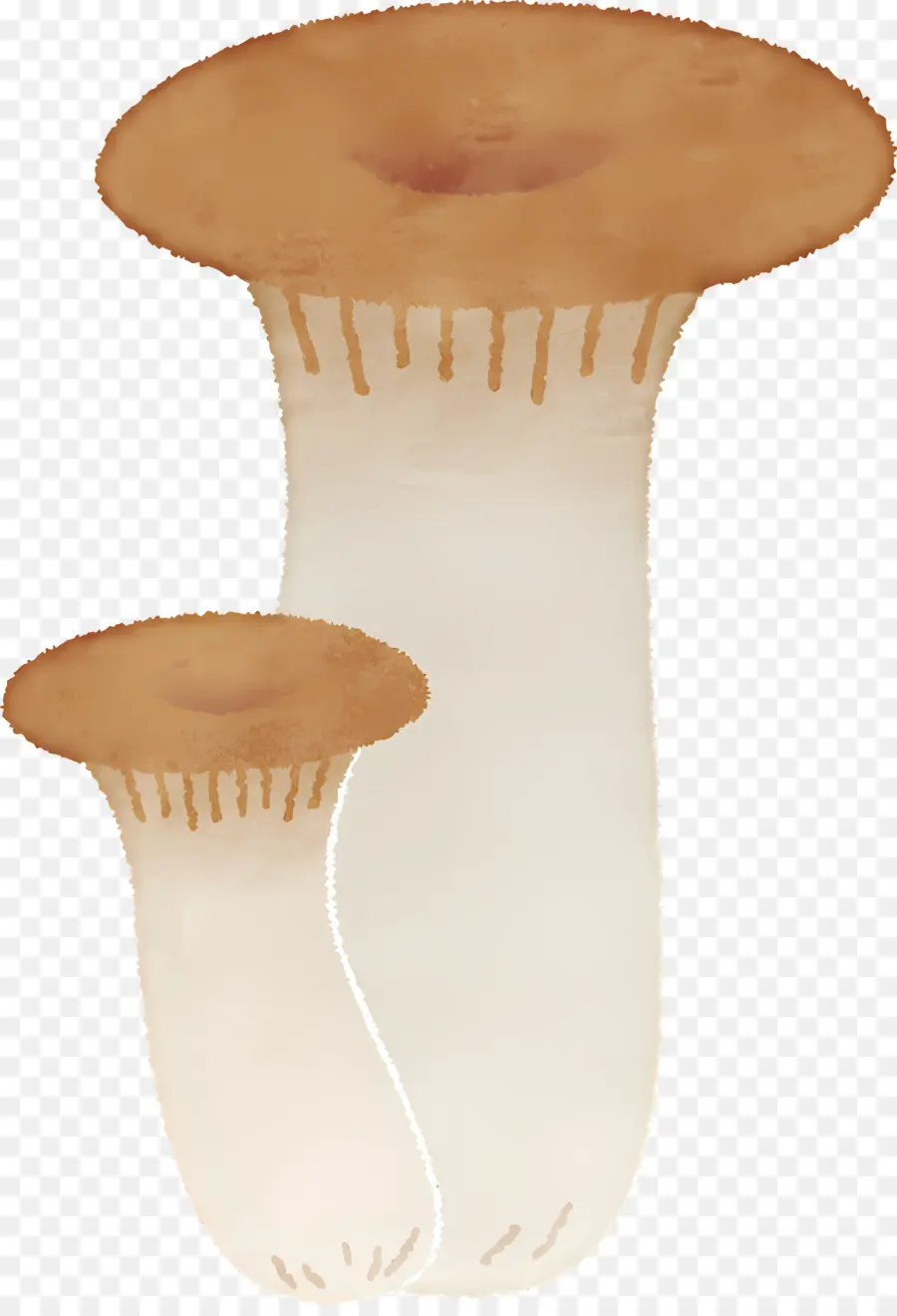 Cogumelo，Cogumelos PNG