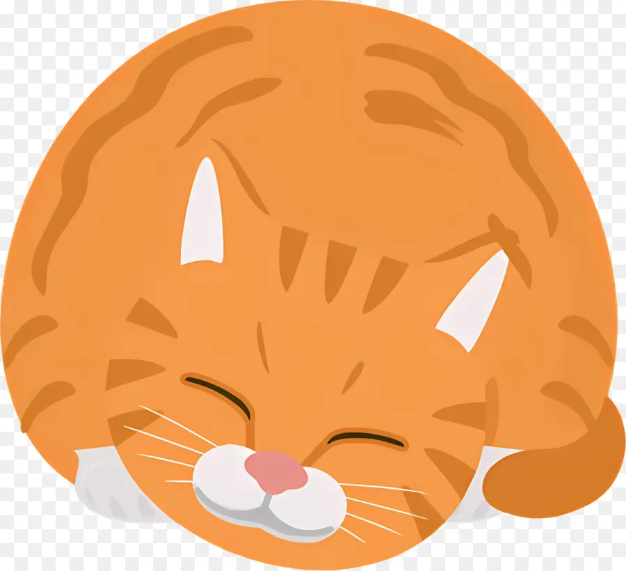 Gato Dos Desenhos Animados，Gato Laranja PNG