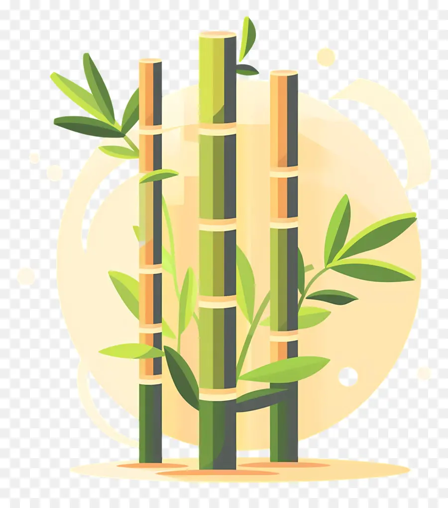 Bambu，Planta De Bambu PNG