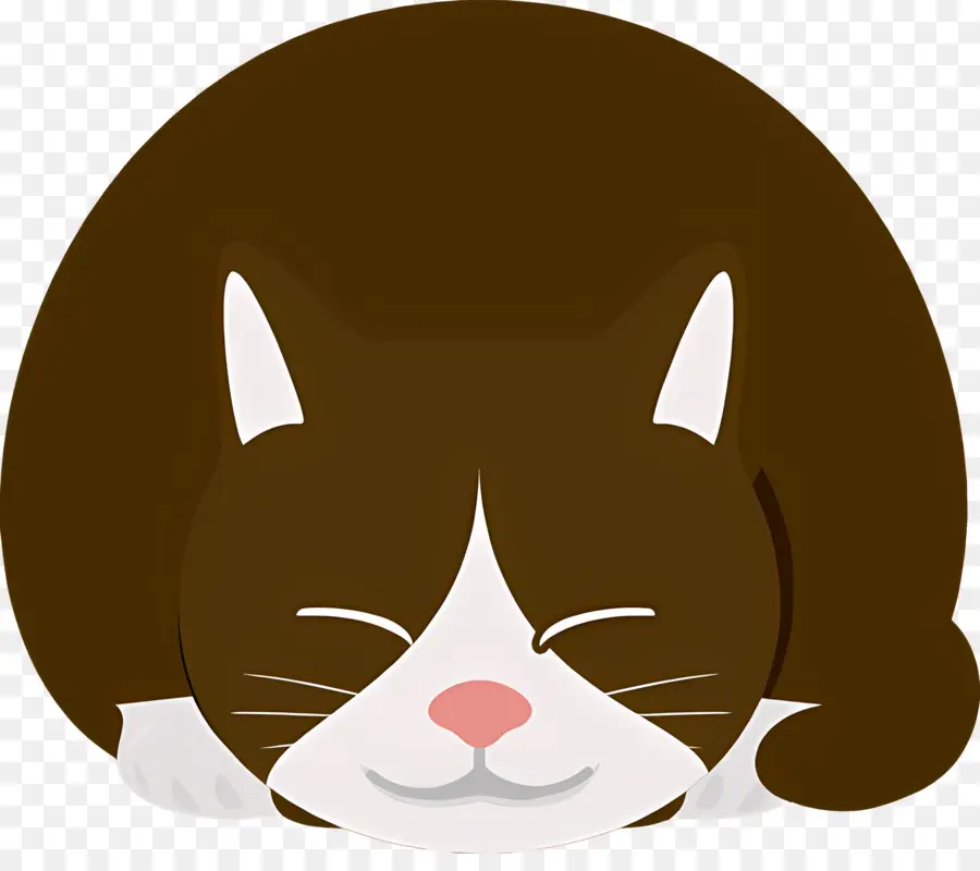 Gato Dos Desenhos Animados，Gato PNG