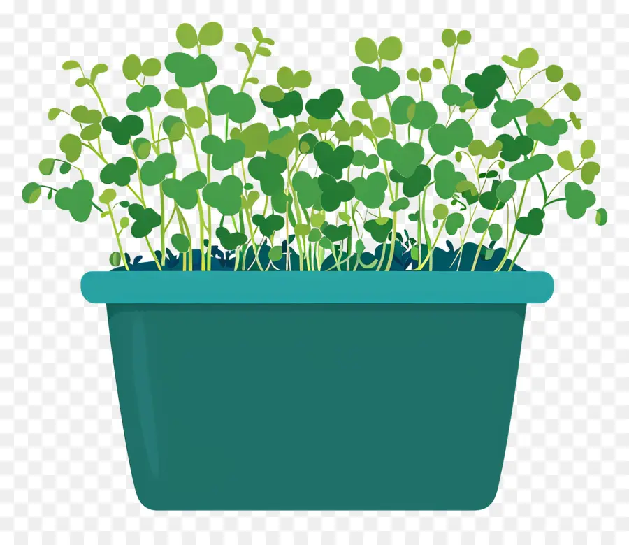 Pote De Microgreens，Pequeno Pote De Cerâmica Azul PNG