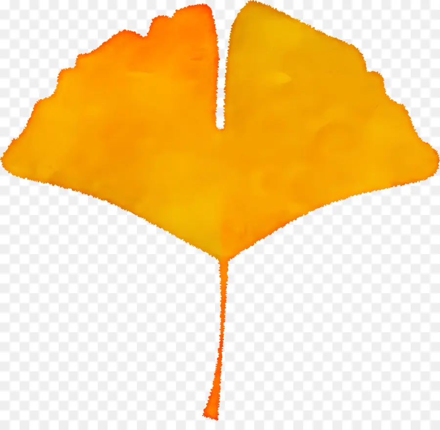 Autumn Leaf，Osso PNG