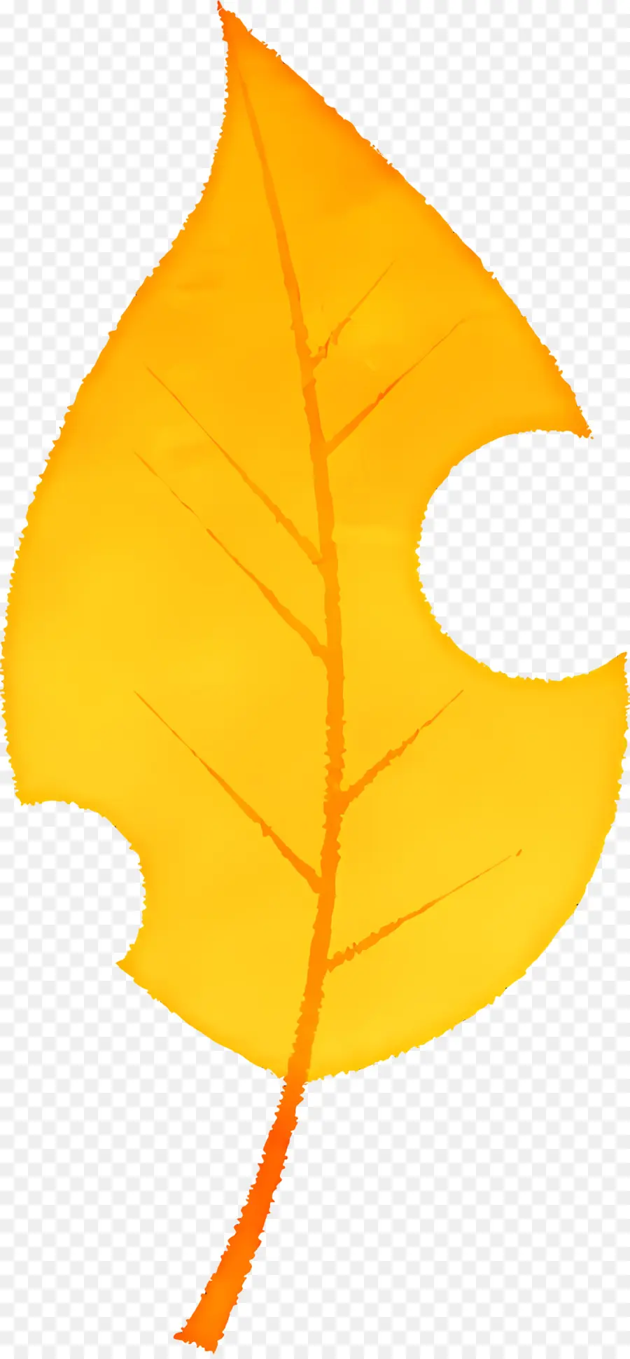 Autumn Leaf，Golden Leaf PNG