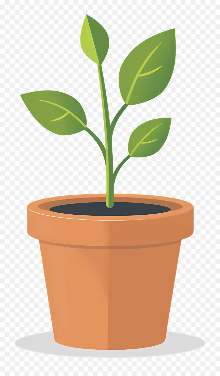 Mudas，Planta PNG