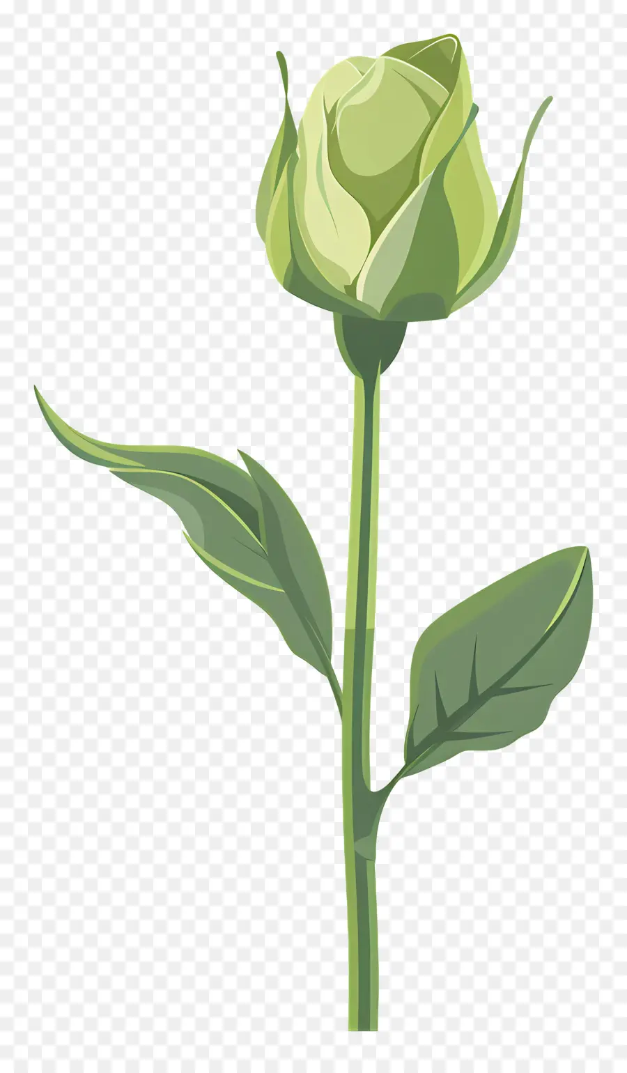 Rosa Verde，Flor única PNG