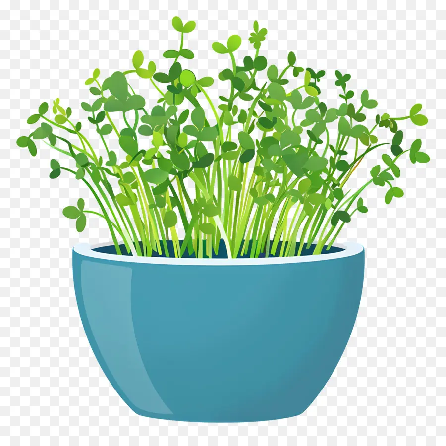 Pote De Microgreens，Azul Pote PNG