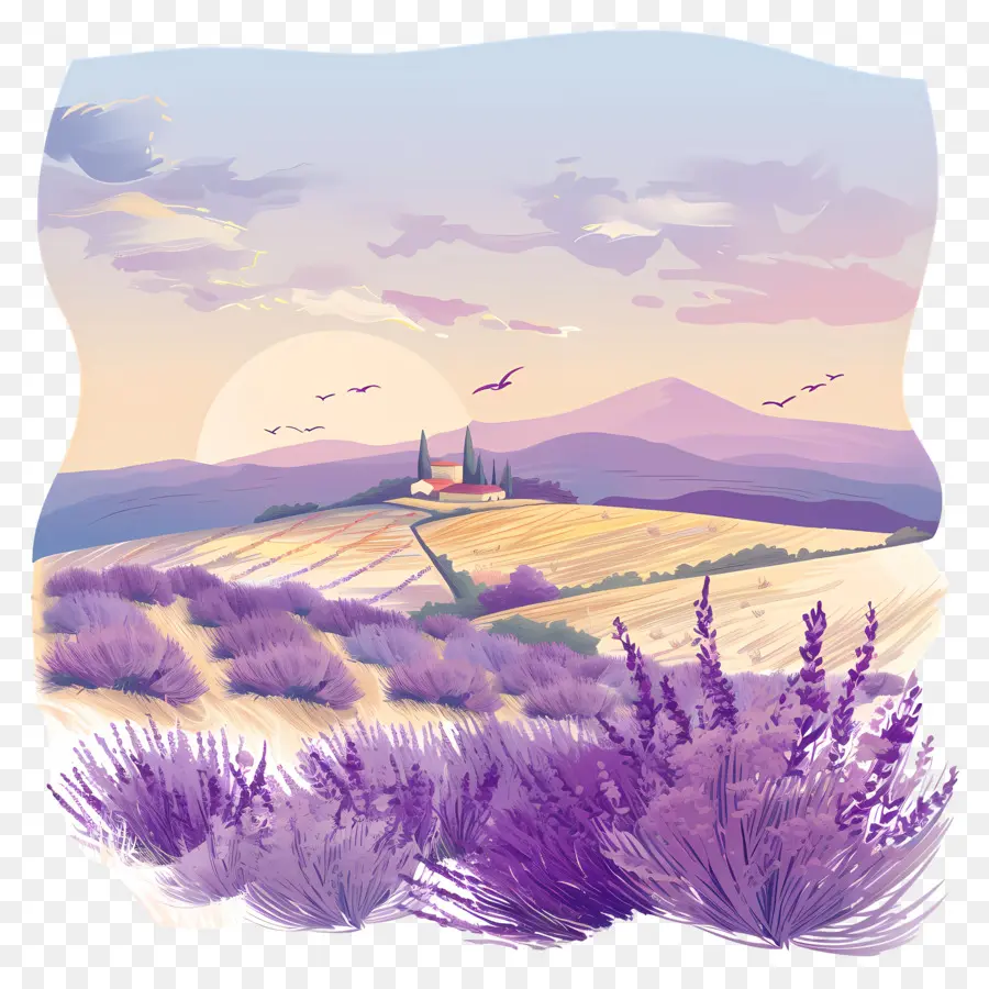 Campo De Lavanda，Pintura De Paisagem PNG