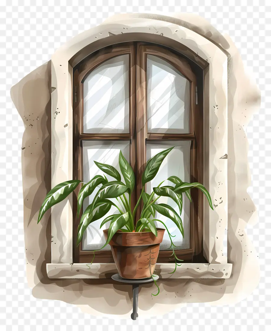 Janela，Planta De Vaso PNG