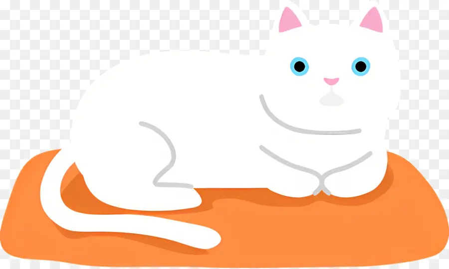 Gato Dos Desenhos Animados，Gato Branco PNG