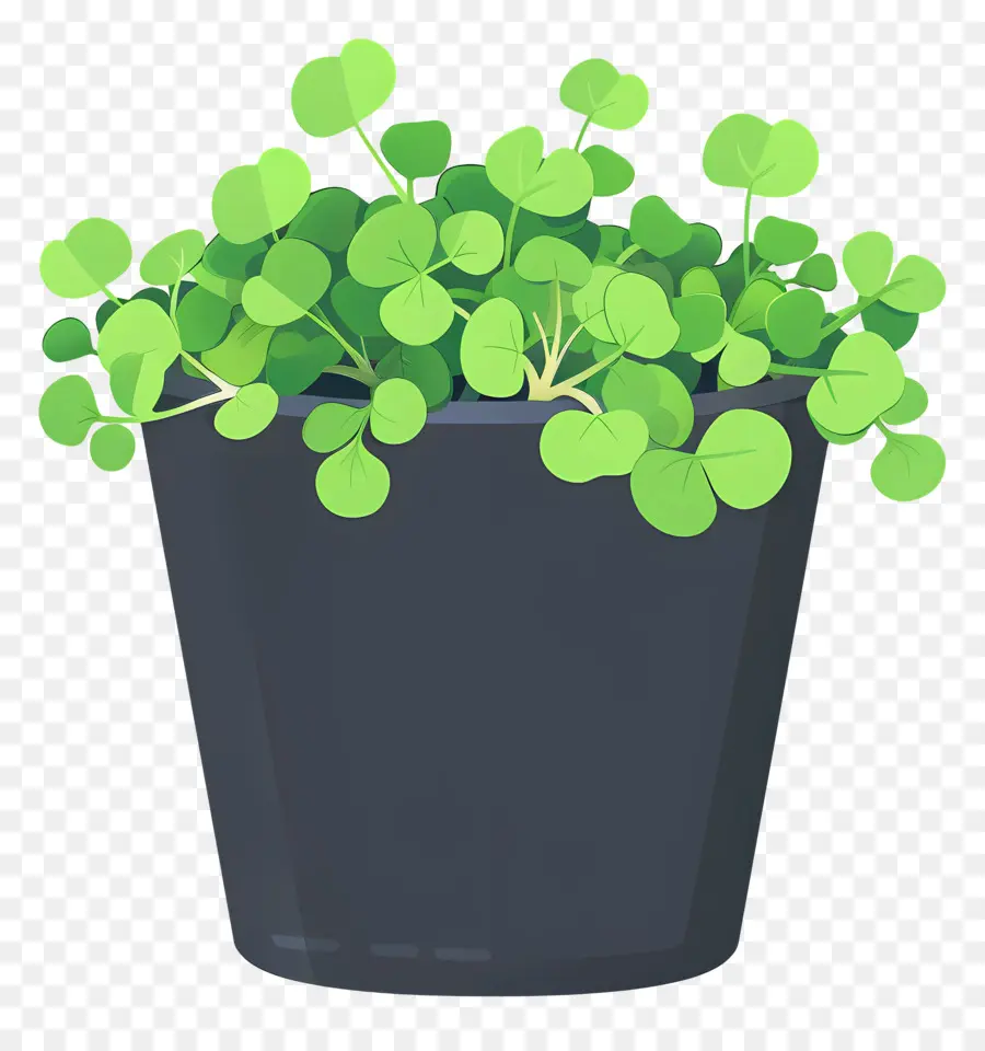 Pote De Microgreens，Plantas De Interior PNG