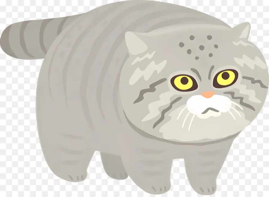 Gato Dos Desenhos Animados，Gato Cinzento PNG