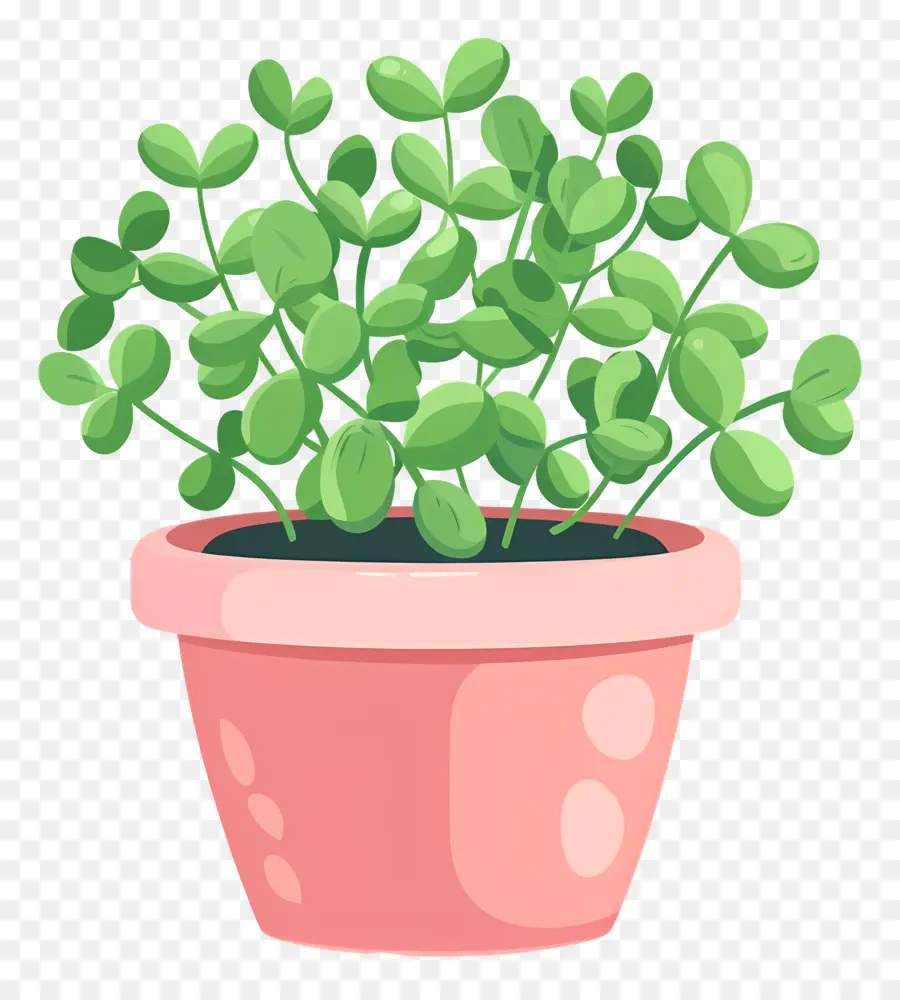 Pote De Microgreens，Planta De Vaso PNG